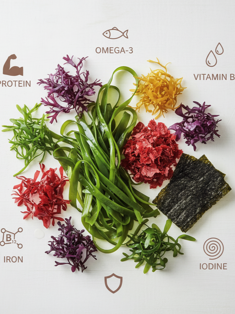 seaweed superfood