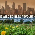 The Wild Edibles Revolution: How Foraging Can Feed the Future and Heal the Earth