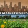 The Wild Edibles Revolution: How Foraging Can Feed the Future and Heal the Earth