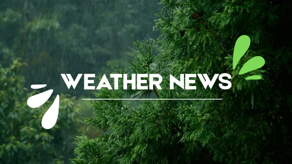 weather news banner