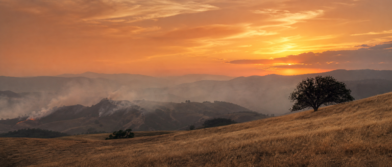 Why 2026 Is Shaping Up to Be a Massive Wildfire Year — And How to Stay Safe