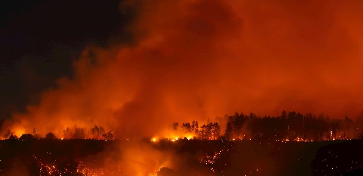 Beavers Are Fighting Wildfires - body image 2