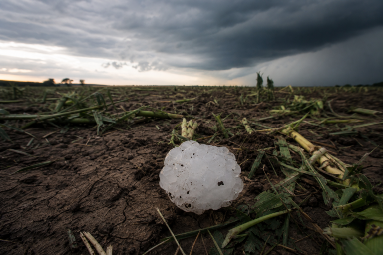 Climate Change Is Making Hailstorms Bigger, More Damaging, and Shifting Where They Strike