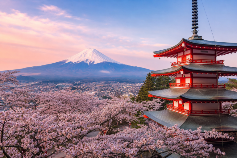Why Spring Is the Best Season to Visit Japan: Weather, Nature, and What to Expect