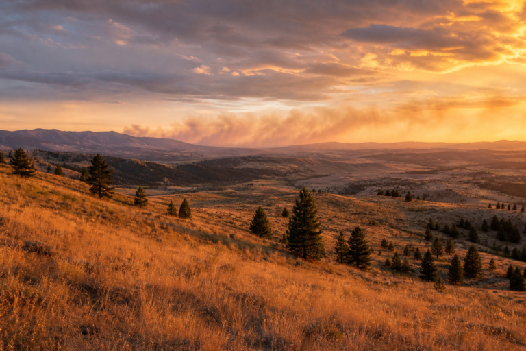 The 2026 Wildfire Season Is Already 40% Above Normal — Here’s What’s Fueling It