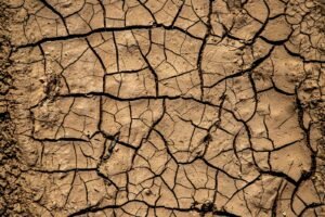 How Droughts Happen: The Science Behind Dry Spells That Reshape Communities