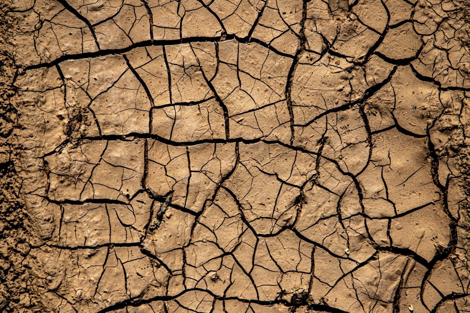 Cracked dry earth under a hot sky illustrating drought conditions