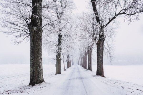 Freezing Rain vs Sleet: The Critical Difference That Determines Whether You Slide or Shatter