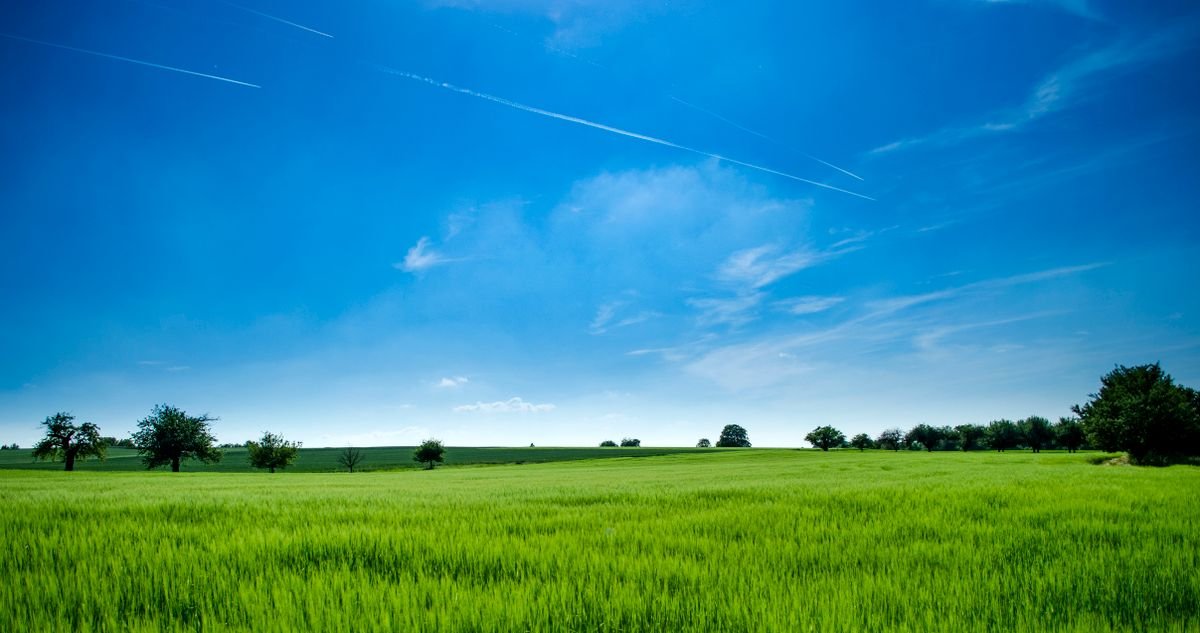 What Makes Thunder? A Simple Explanation