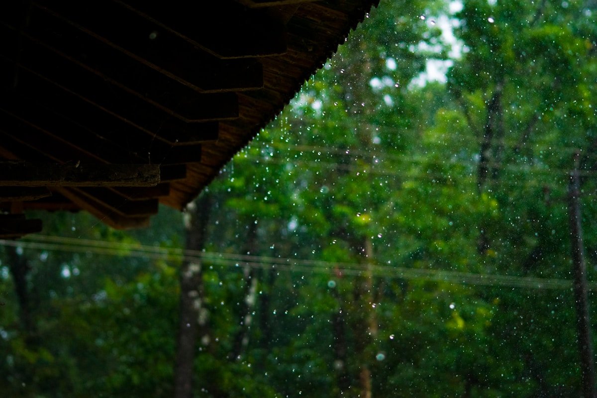 Rain falling through a forest canopy seen through a rain-covered window in India