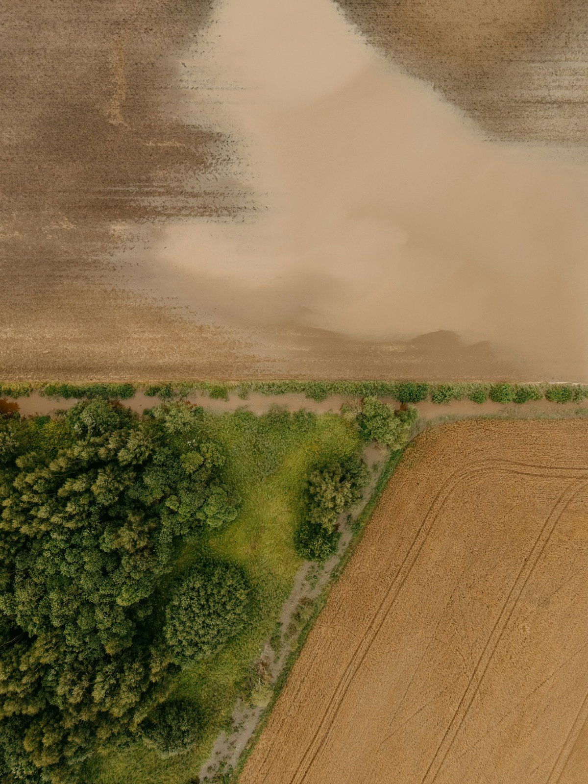 A massive storm approaches green trees and agricultural fields