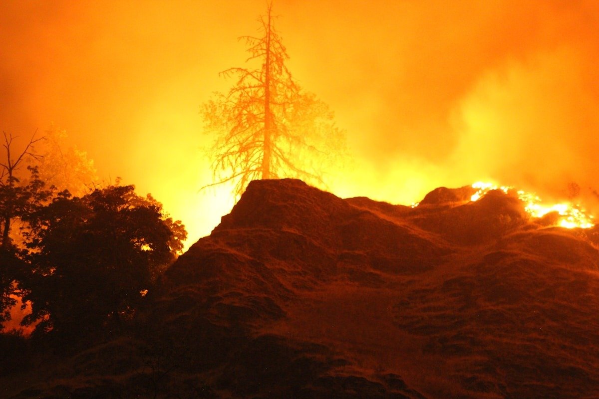 Wildfire burning trees at night in Oregon