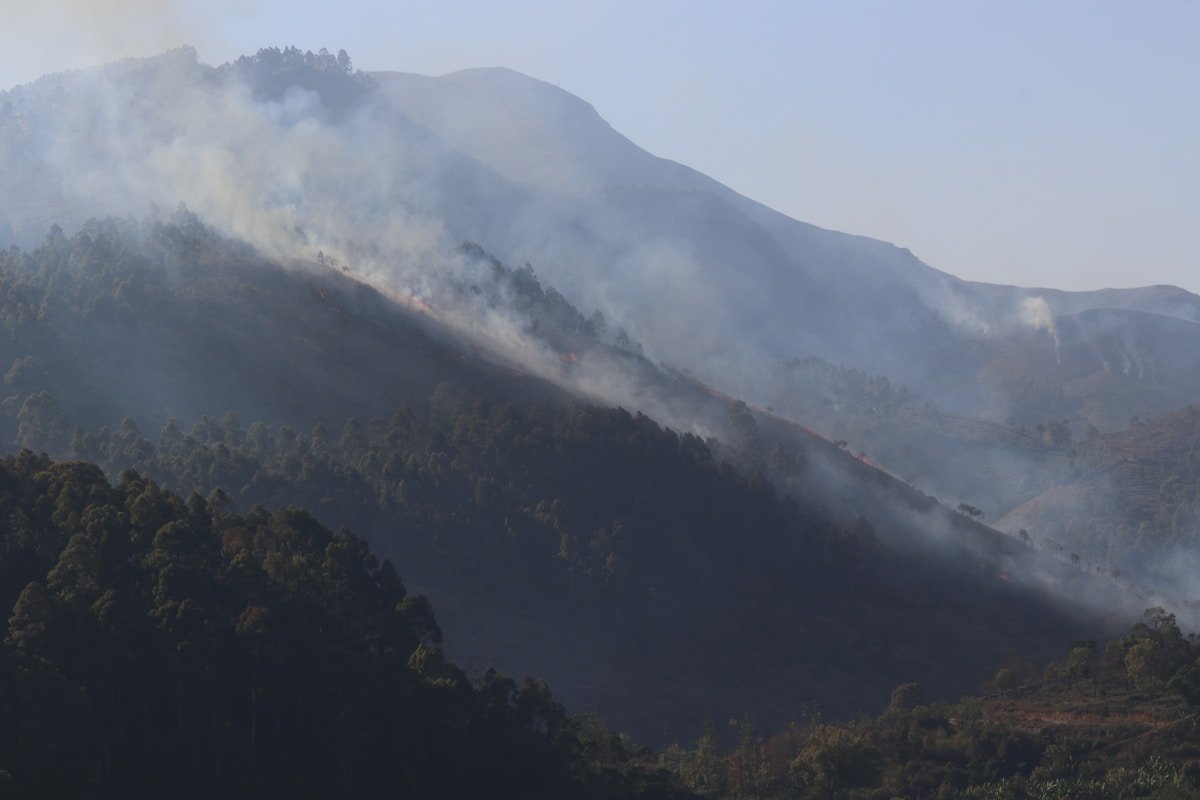 Smoke rising from forested mountain landscape
