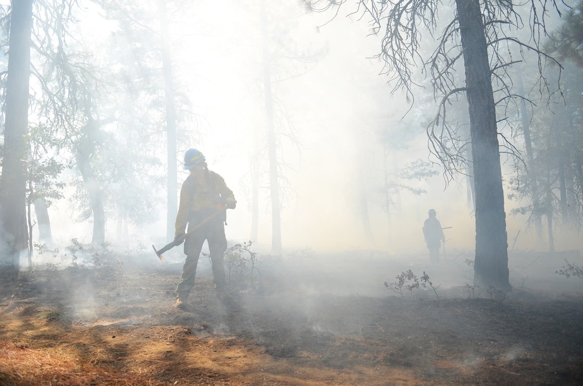 Firefighters walking through a smoky forest during wildfire