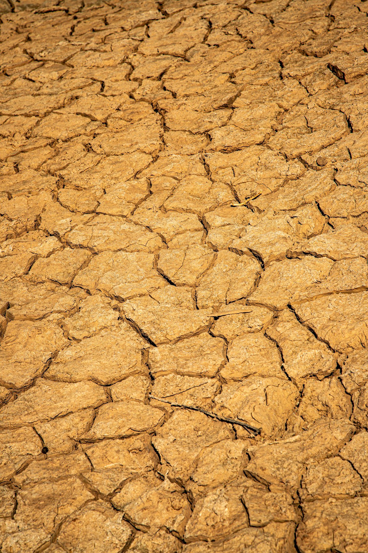 Cracked dry earth in a desert landscape showing severe drought conditions