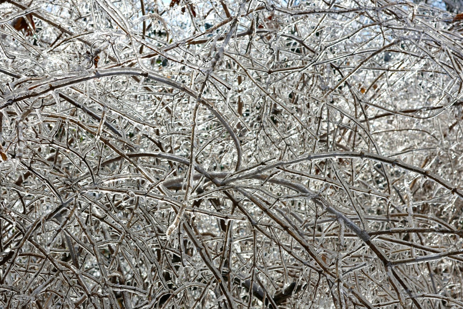 Car windshield encased in thick clear ice after freezing rain