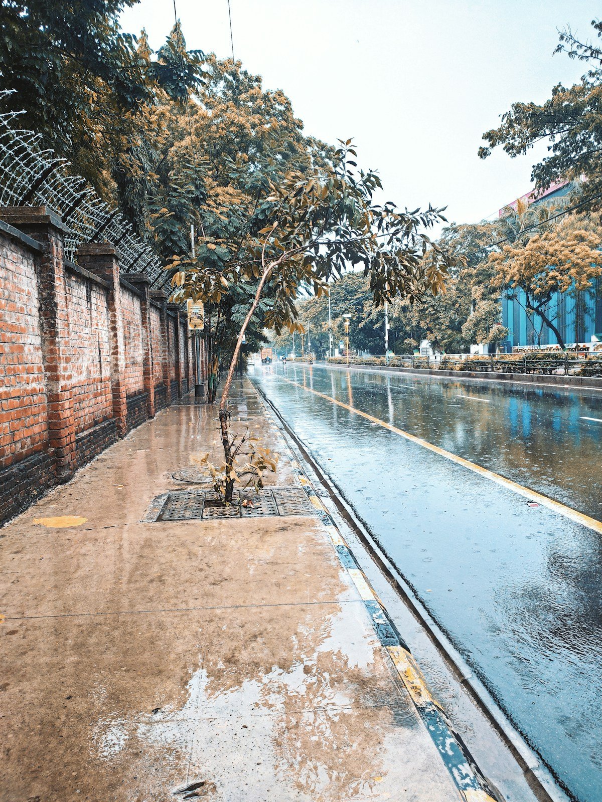 Heavy monsoon rain creating ripples on a flooded urban street