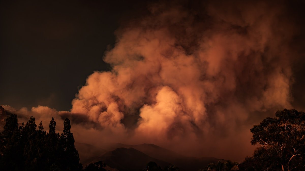 Large plume of smoke rising from a California wildfire forest
